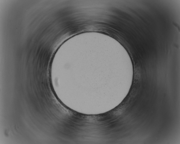 X0000103970803200810101306