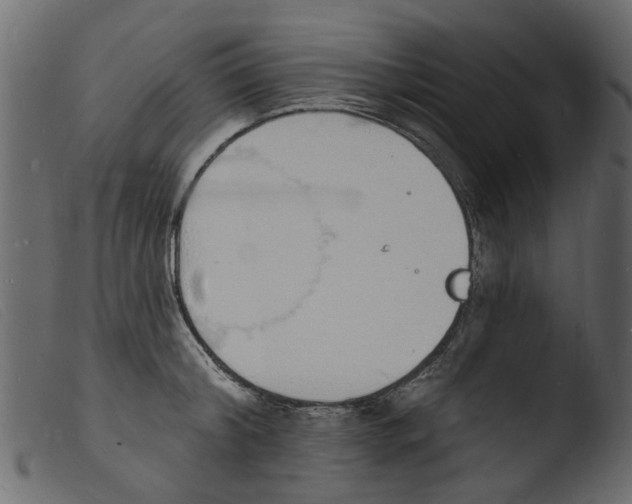 X0000103970804200810101306