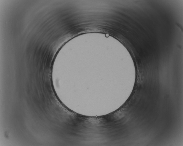 X0000103970805200810101306