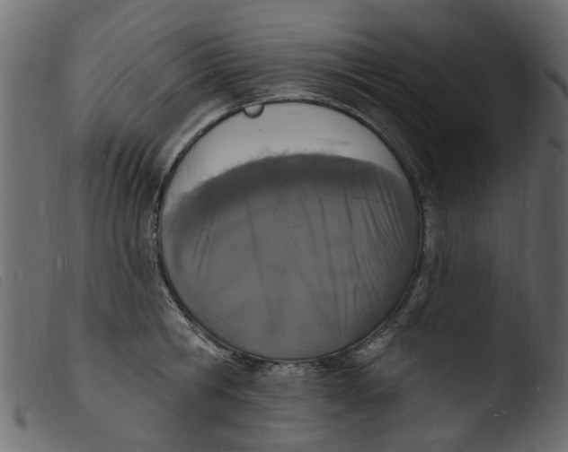 X0000103970806200810101306