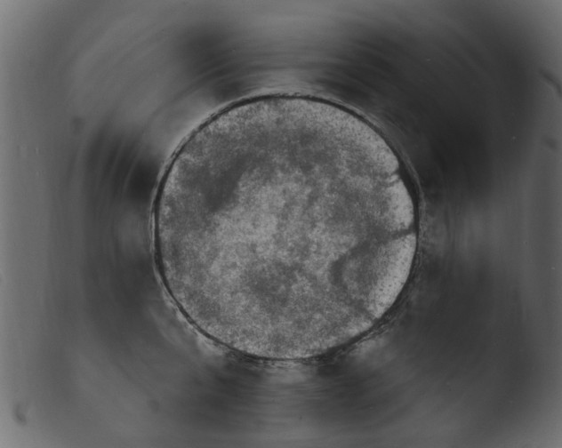 X0000103970807200810101306