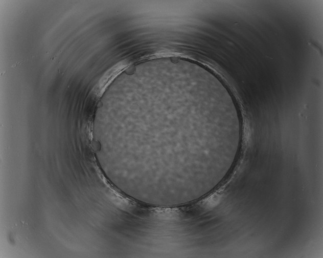 X0000103970809200810101306