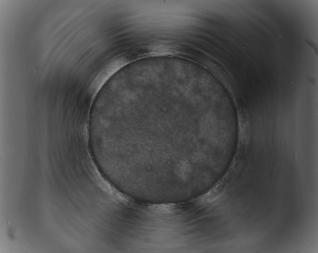 X0000103970810200810101306