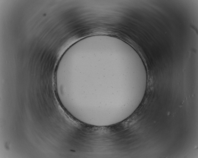 X0000103970811200810101306