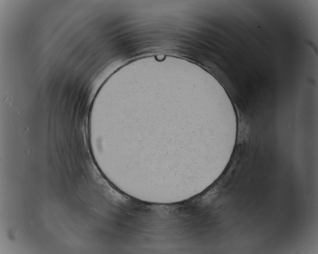 X0000103970812200810101306