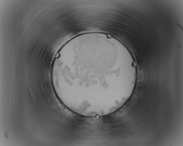 X0000103970813200810101306