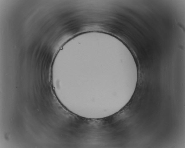 X0000103970815200810101306