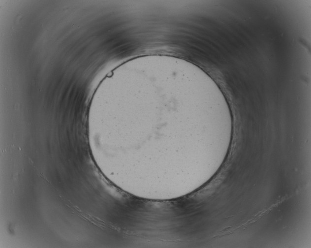 X0000103970816200810101306