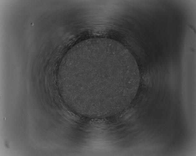 X0000103970817200810101306