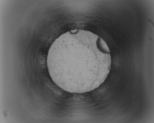 X0000103970818200810101306