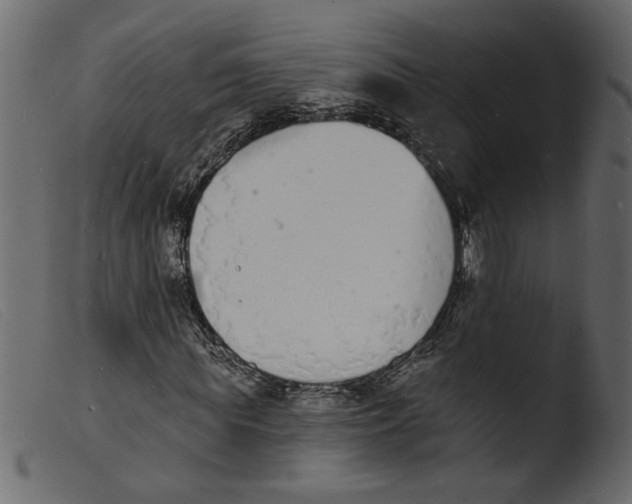 X0000103970819200810101306