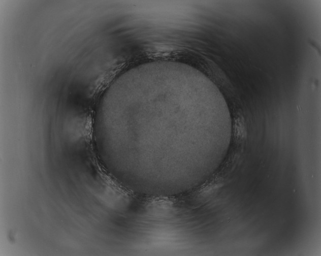 X0000103970820200810101306