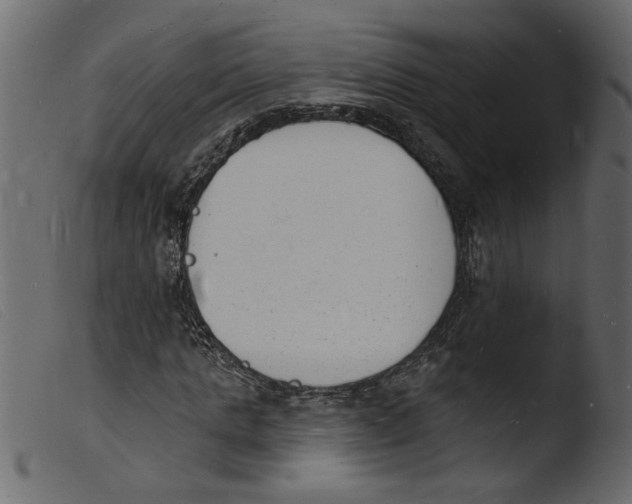 X0000103970821200810101306