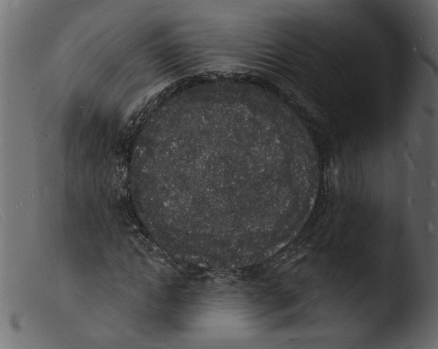 X0000103970822200810101306