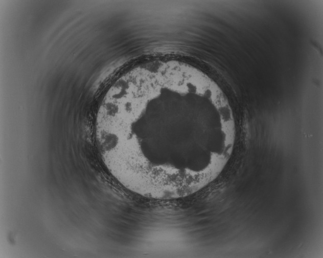 X0000103970823200810101306