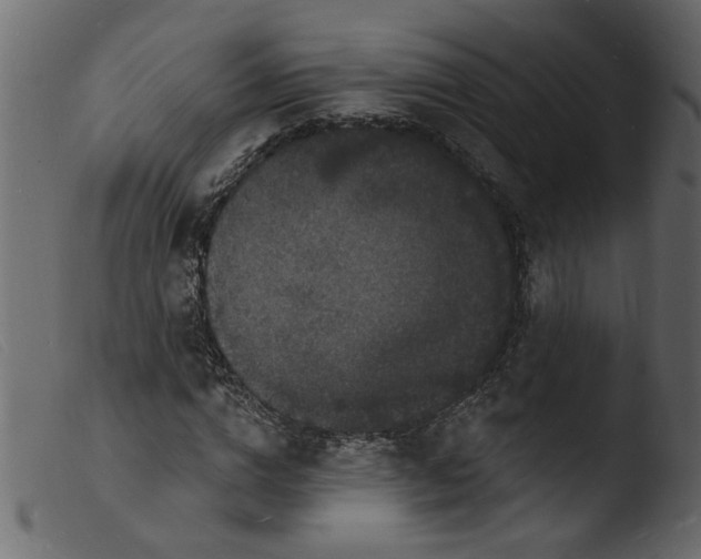 X0000103970824200810101306