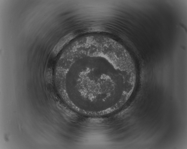 X0000103970825200810101306