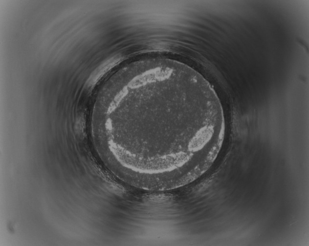 X0000103970826200810101306