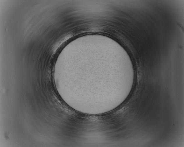 X0000103970827200810101306