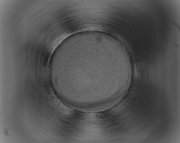 X0000103970828200810101306