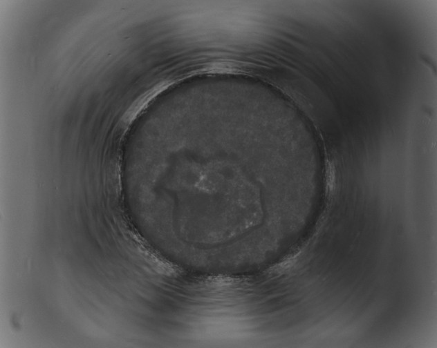 X0000103970829200810101306