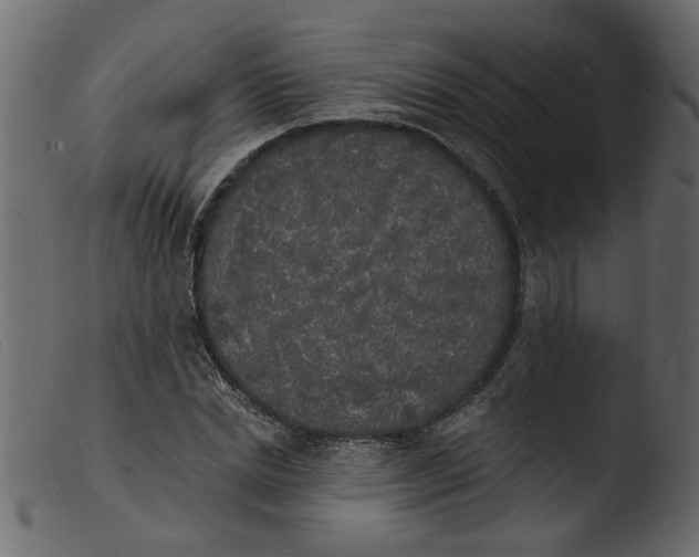 X0000103970830200810101306