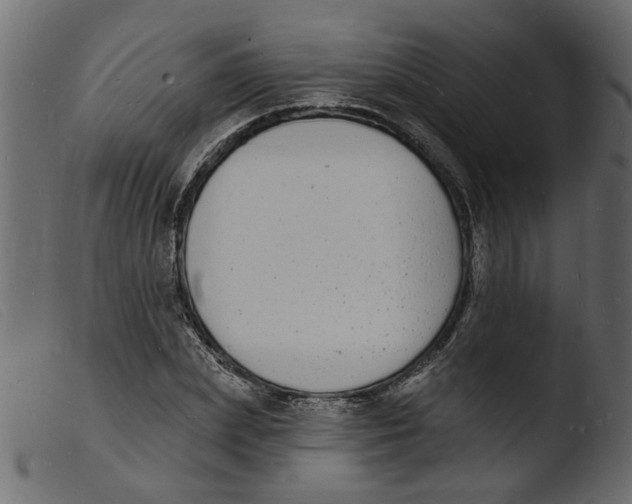 X0000103970831200810101306