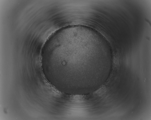 X0000103970832200810101306