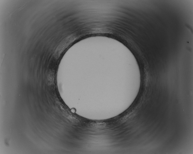 X0000103970833200810101306