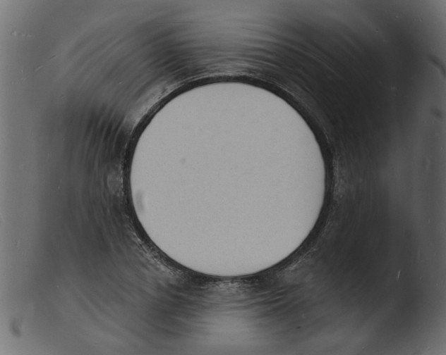 X0000103970834200810101306