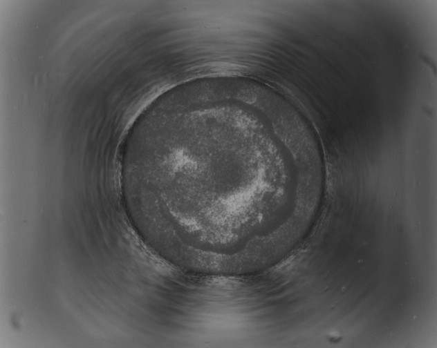 X0000103970835200810101306