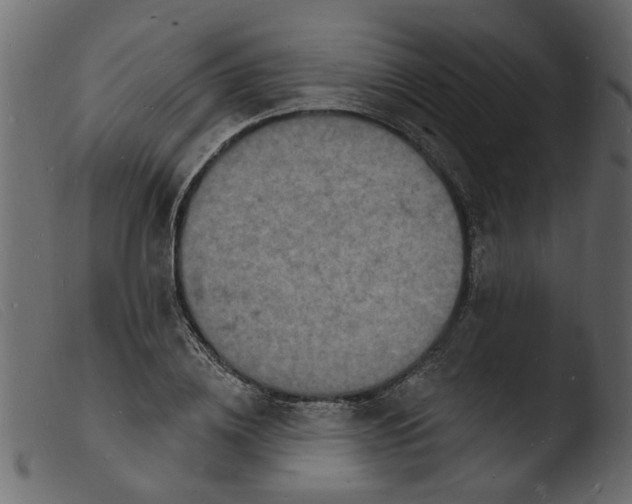 X0000103970836200810101306