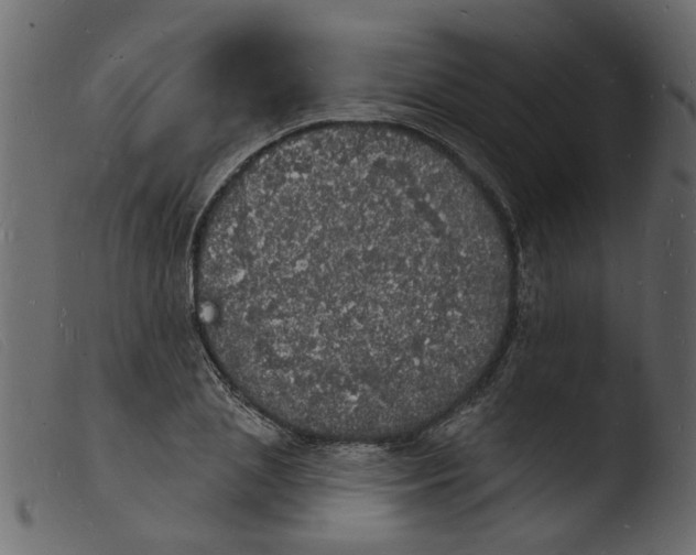 X0000103970837200810101306