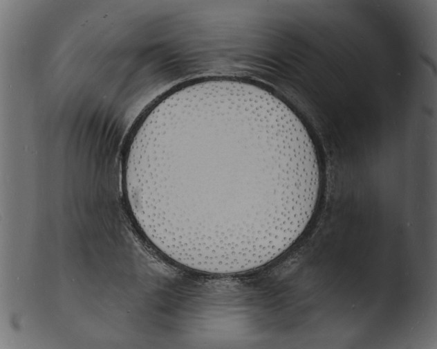 X0000103970838200810101306