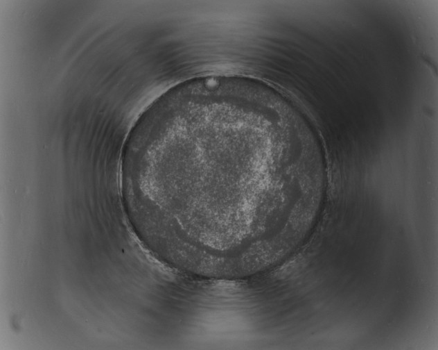 X0000103970839200810101306