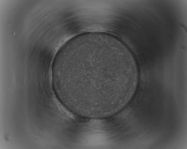 X0000103970840200810101306