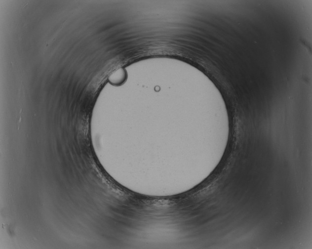 X0000103970841200810101306