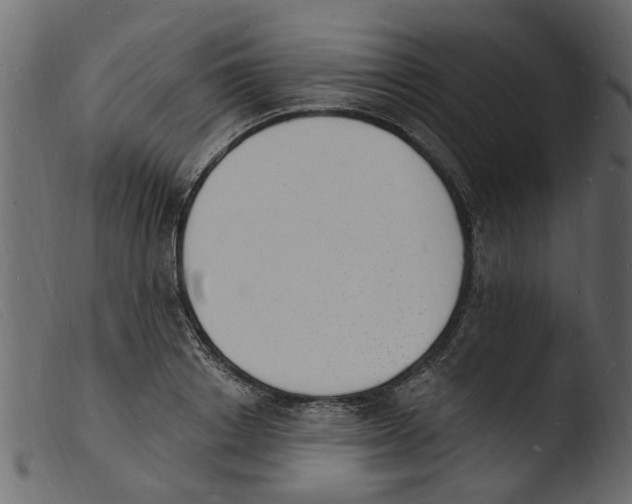 X0000103970842200810101306