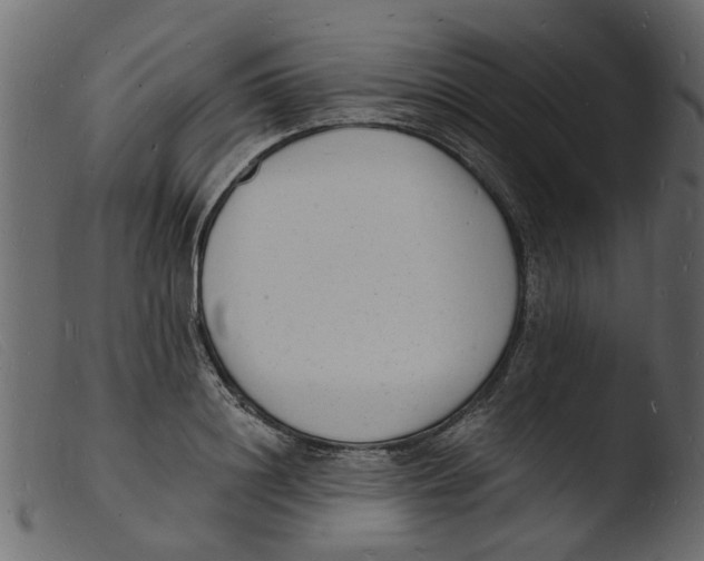 X0000103970844200810101306