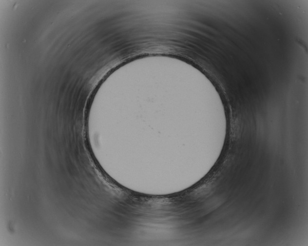 X0000103970845200810101306