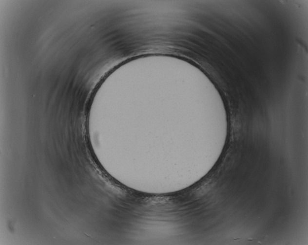 X0000103970846200810101306