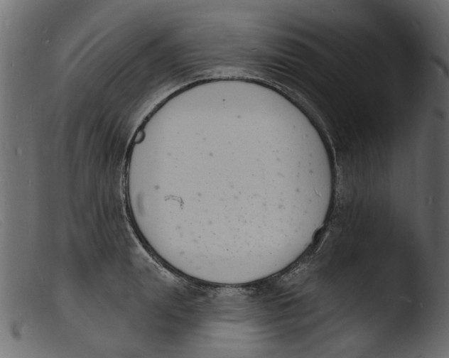 X0000103970847200810101306