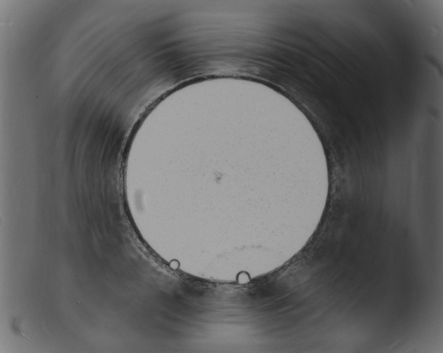 X0000103970848200810101306