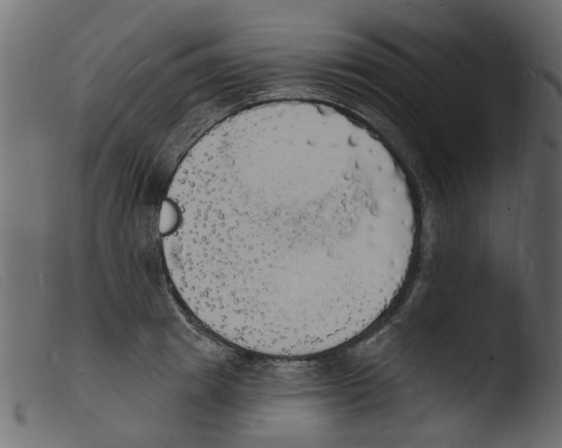 X0000103970849200810101306