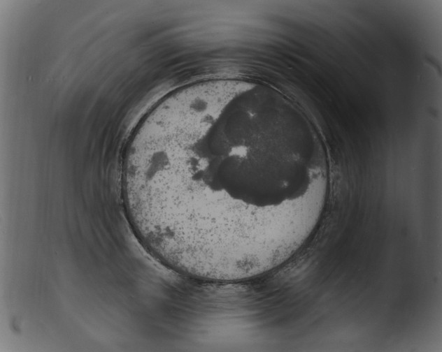 X0000103970851200810101306