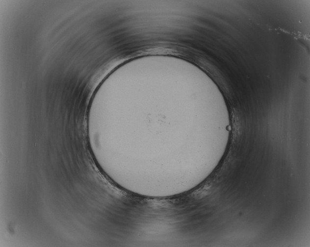 X0000103970852200810101306