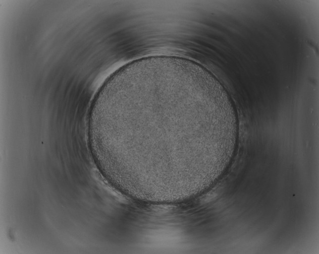 X0000103970854200810101306