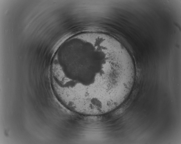 X0000103970855200810101306