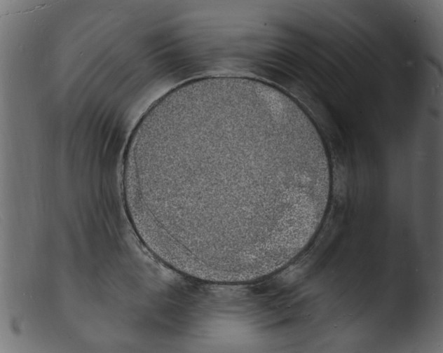 X0000103970856200810101306