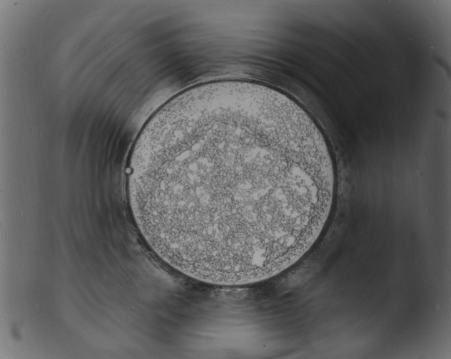 X0000103970858200810101306